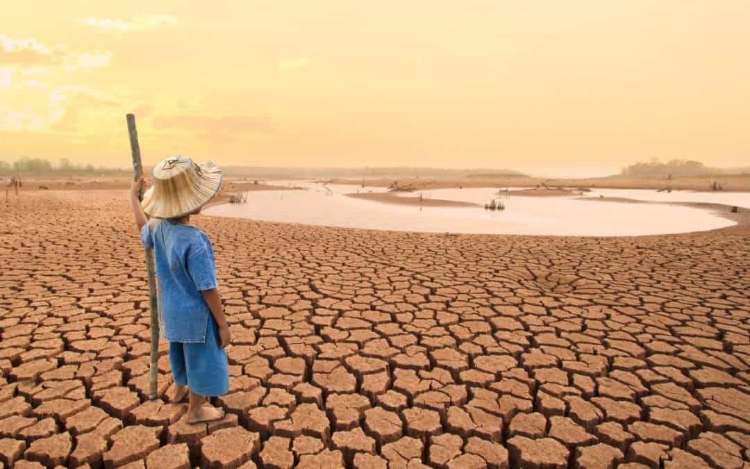 WWF enttäuscht vom Ergebnis der COP27: Wir „schlafwandeln“ weiter in die Klimakrise