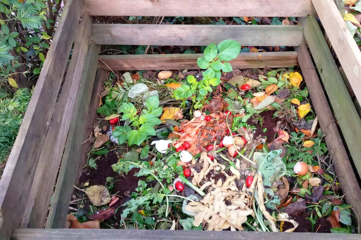 Umwelt schützen und Natur entdecken - mit der eigenen Kompostkiste!