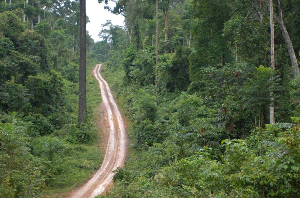 WWF-Report: Amazonas-Regenwald am “Highway zum Kipp-Punkt”