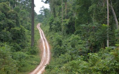 WWF-Report: Amazonas-Regenwald am “Highway zum Kipp-Punkt”