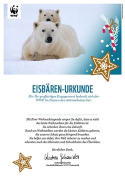 Urkunde Eisbär Weihnachten