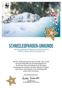 Urkunde Schneeleopard Weihnachten