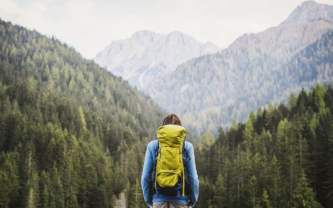 Biodiversität in Österreich: Unsere Lebensgrundlagen schützen und verbessern