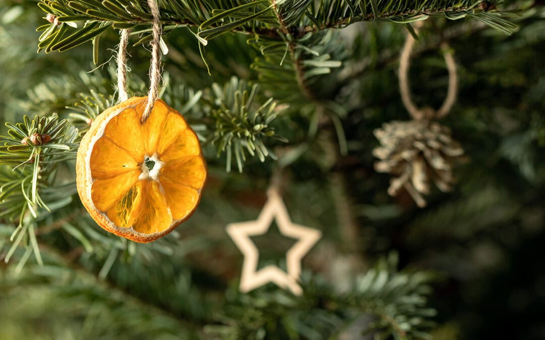 Welcher Weihnachtsbaum ist umweltschonend?