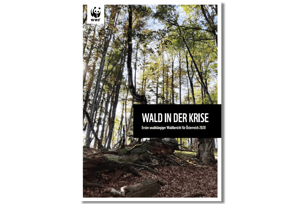 WWF Waldbericht Österreich 2020 - Wald in der Krise WWF Waldbericht Österreich 2020 - Wald in der Krise