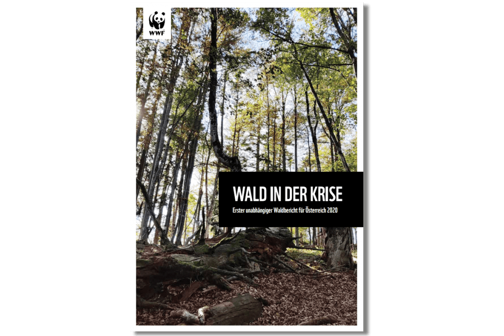 WWF Waldbericht Österreich 2020 - Wald in der Krise