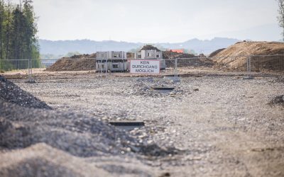 Neuer RH-Bericht: WWF fordert verbindliche Obergrenze für Bodenverbrauch