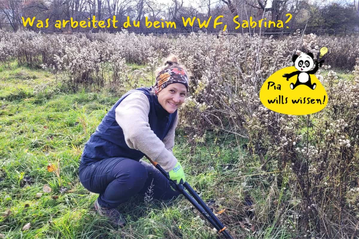 Sabrina Peer bei einem Naturschutzeinsatz im WWF Auenreservat Marchegg