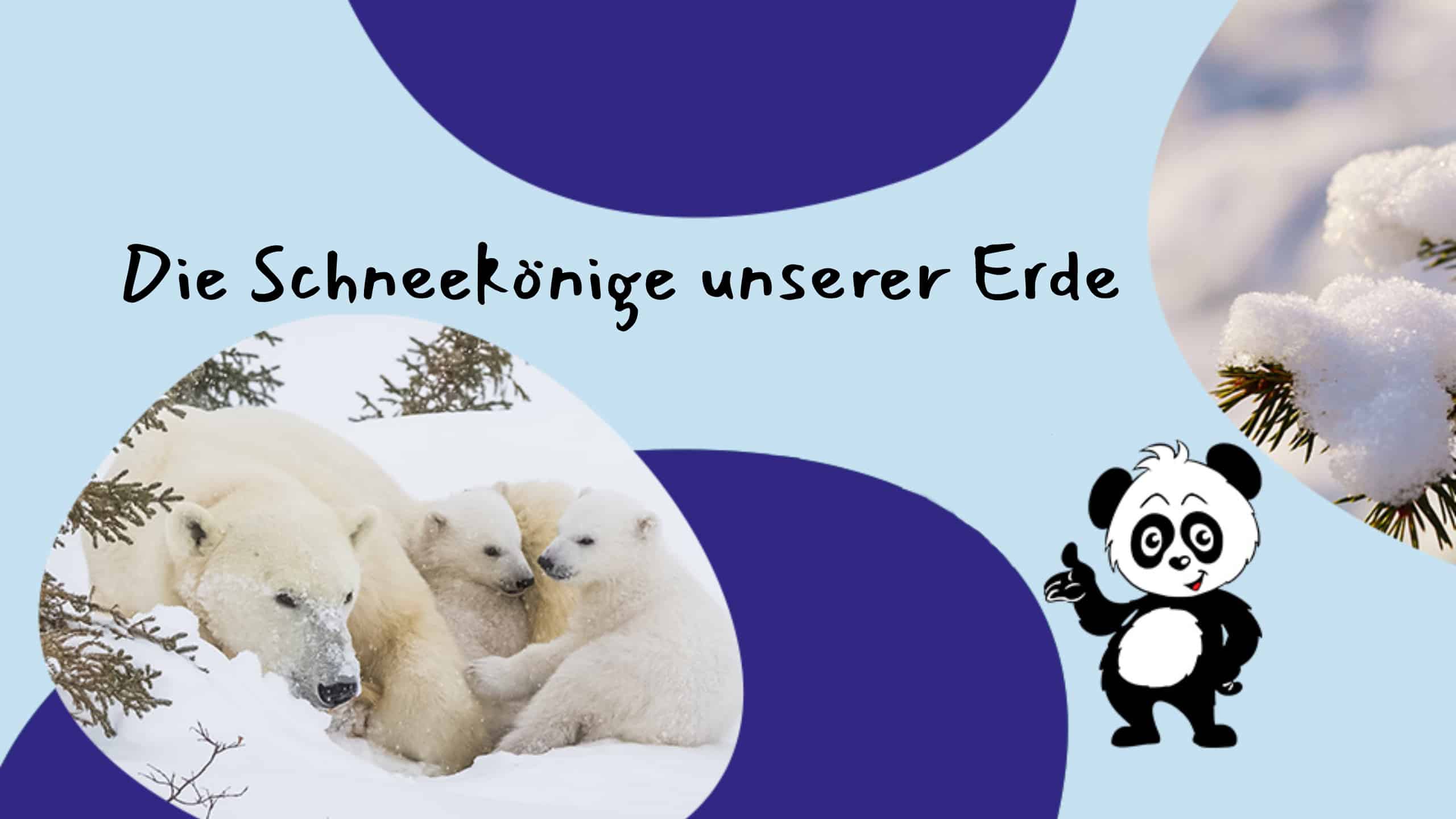 Wer Eis und Schnee trotzt © pixabay, Deborah Albert