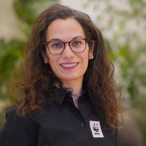 Portrait Pegah Bayaty