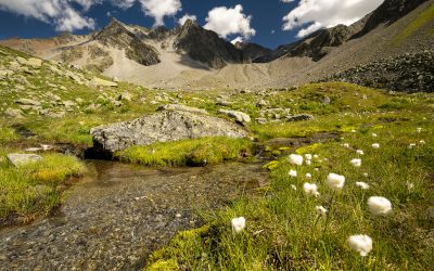 Kaunertal-Petition: Bereits 20.000 Unterschriften für intakte Natur