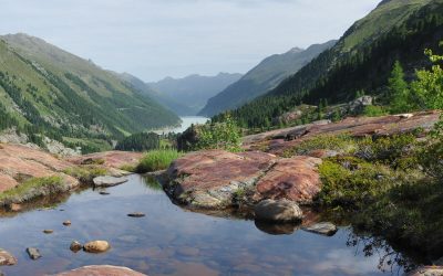 WWF-Bericht: Die Natur als Verbündete des Klimas