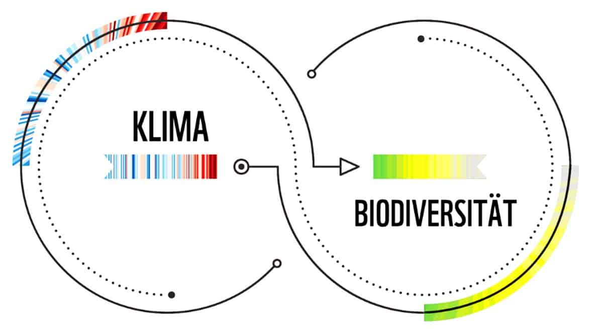 Koppelungen Klima und Biodiversität (c) WWF