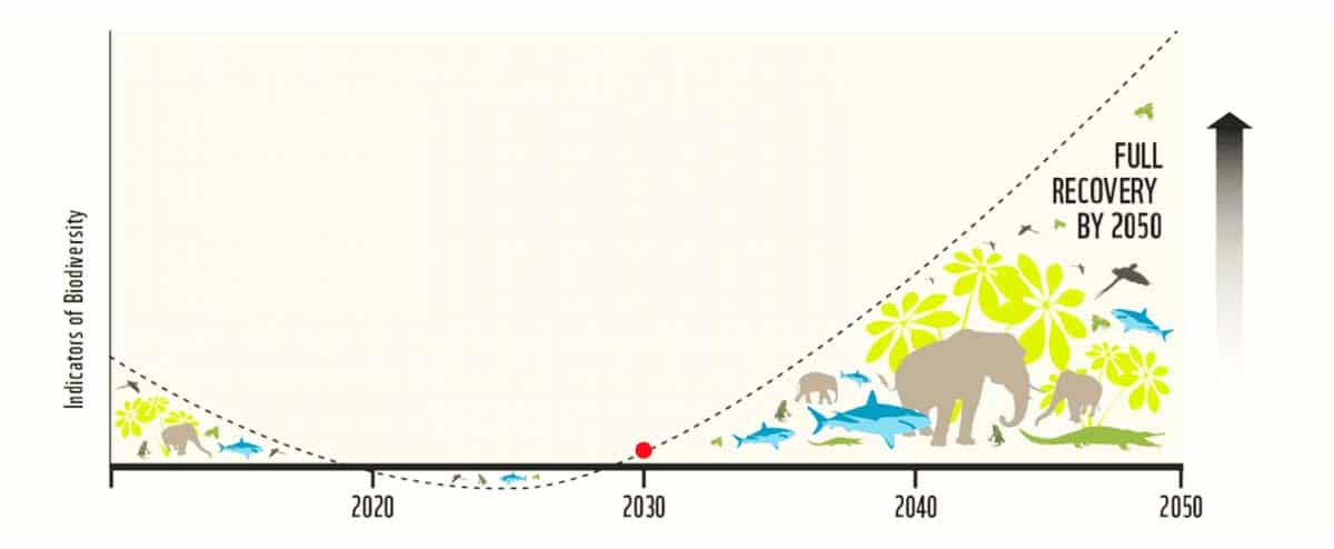 Indikatoren Biodiversität Zeitverlauf (c) WWF