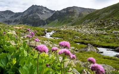 Energiewirtschaftliche Analyse stellt Platzertal-Speicher in Frage