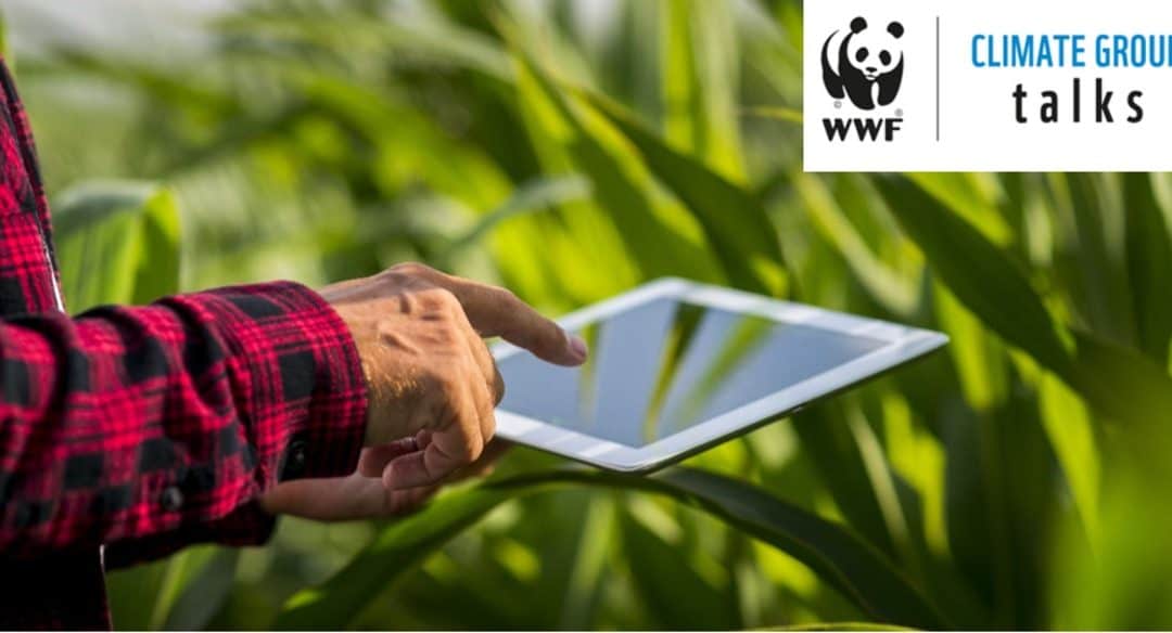 WWF CLIMATE GROUP TALKS: Wirksame Nachhaltigkeitsstrategien