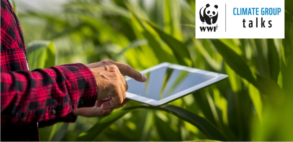 WWF CLIMATE GROUP TALKS: Wirksame Nachhaltigkeitsstrategien