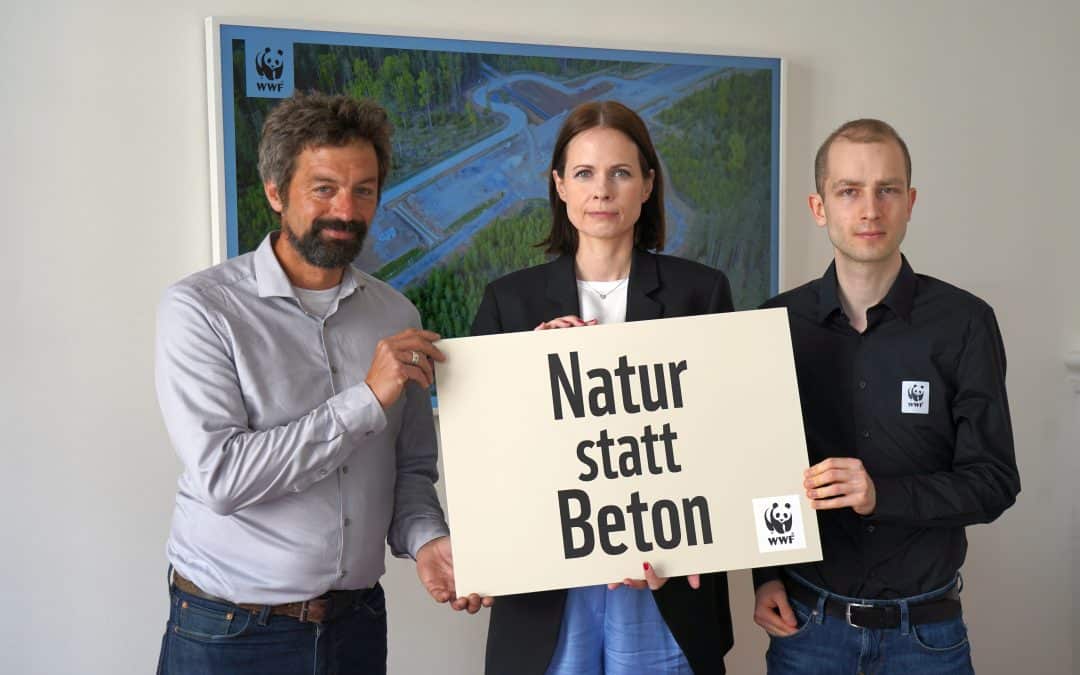 Neuer WWF-Bodenreport: Österreich wird weiter verbaut, die Politik schaut tatenlos zu