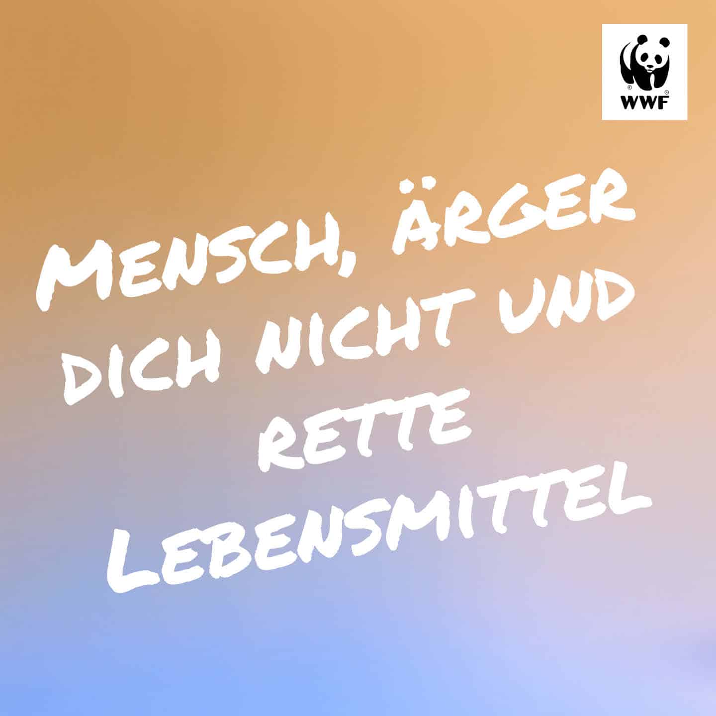 Lebensmittelrettung Mensch Ärger Dich Nicht Lebensmittelrettung Mensch Ärger Dich Nicht