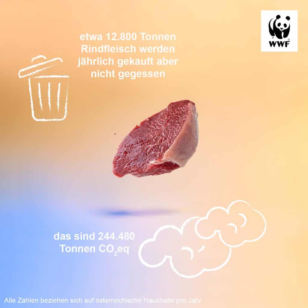 Lebensmittelrettung Rindfleisch CO2