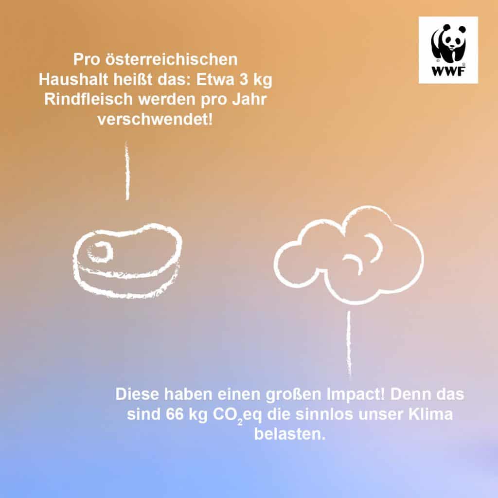 Lebensmittelrettung Österreichischer Haushalt verschwendet 3 kg Rindfleisch