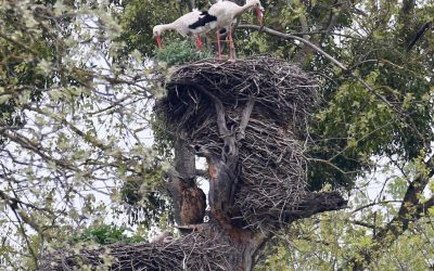 Bild der Woche: Auf gute Nachbarschaft!