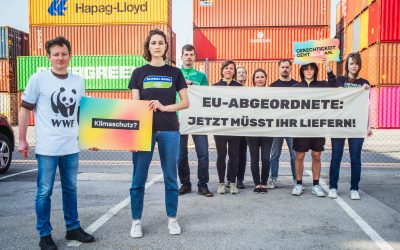 Vor Abstimmung im EU-Parlament: WWF fordert starkes Lieferkettengesetz