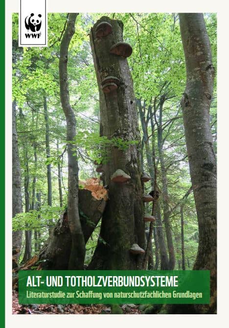 Grafik_WWF-Studie Alt- und Totholzverbundsysteme