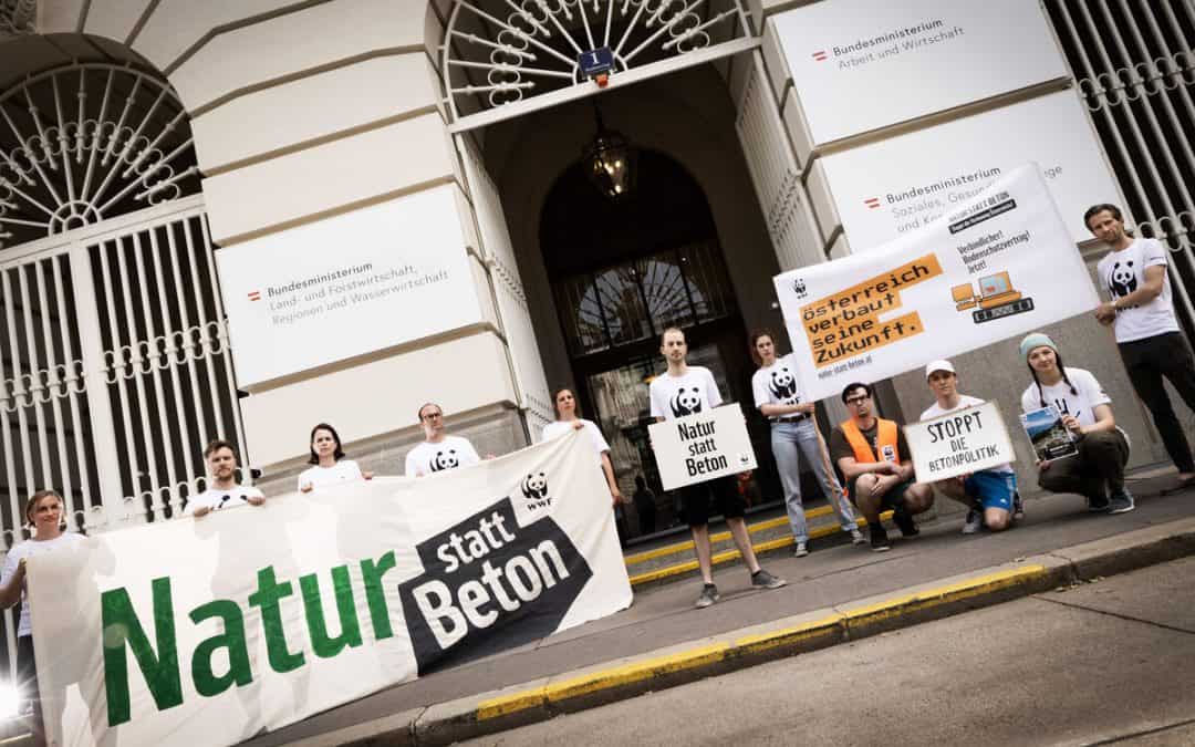 Vor Bodenschutz-Gipfel: WWF kritisiert zahnlose Strategie und fordert strenges Gesetz gegen den Flächenfraß