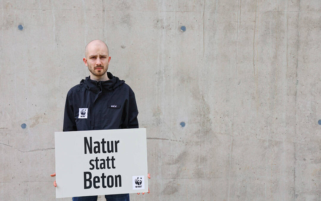 Natur statt Beton – Stoppen wir die Verbauung Österreichs!
