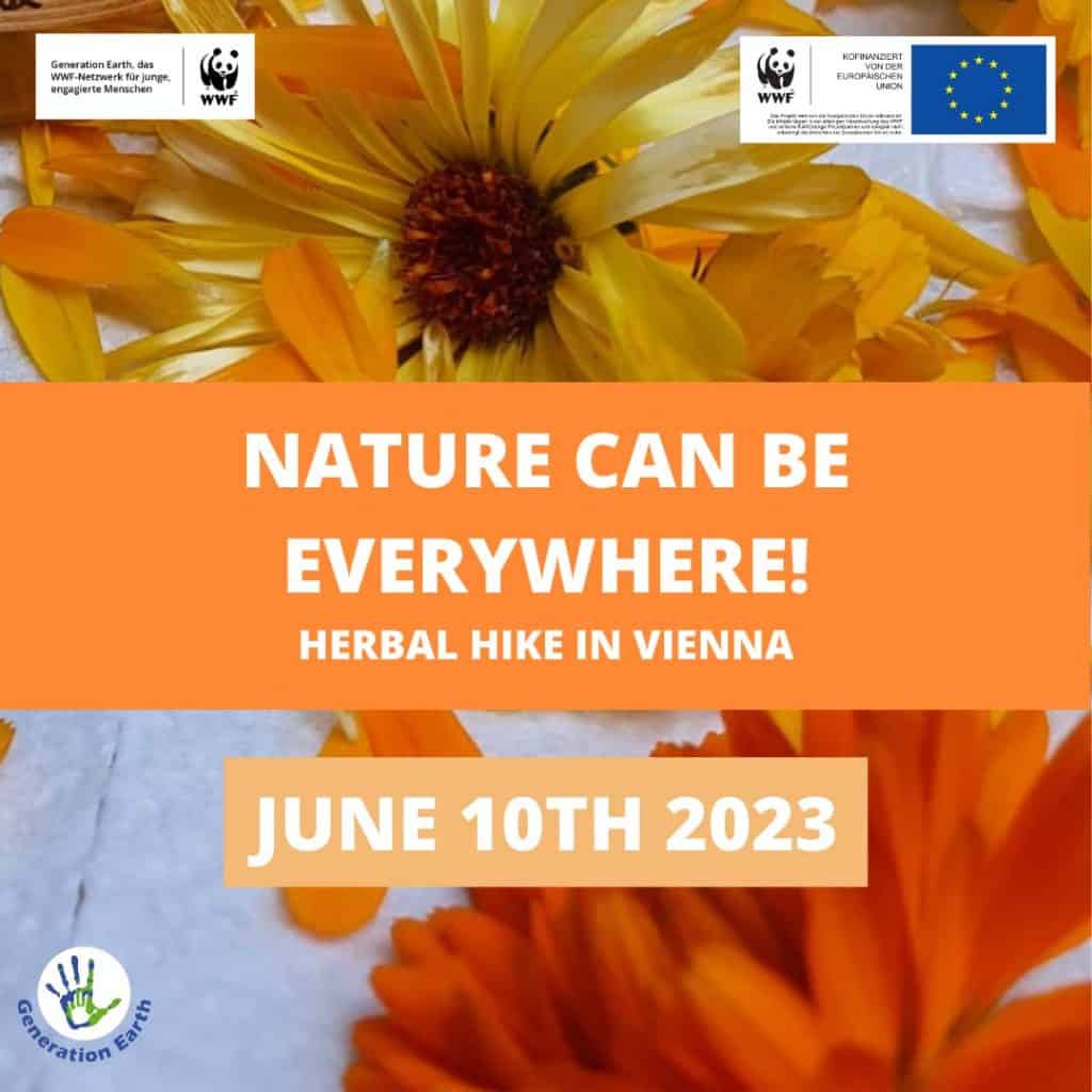 Herbal Hike in Vienna Flyer
