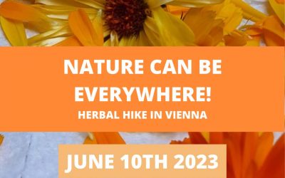 Herbal Hike in Wien – Nature can be everywhere!