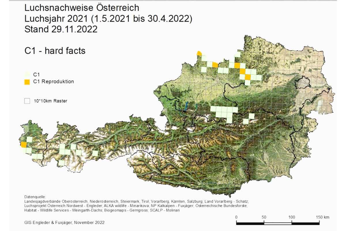 Verbreitungskarte Luchs in Österreich 2022(c)GIS Engleder & Fuxjäger