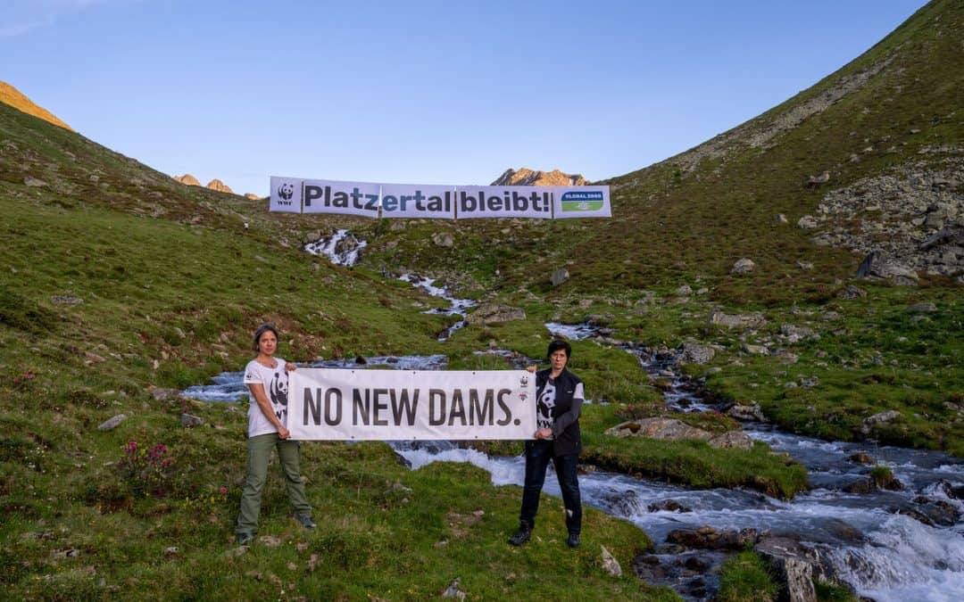 „Platzertal bleibt“: Protestaktion mit 50-Meter-Banner gegen Kraftwerksausbau Kaunertal