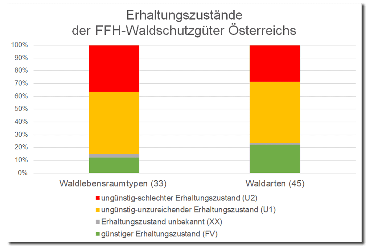 Waldstudie 2023 Erhaltungszustände der Schutzgüter