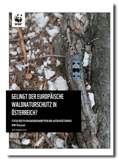 WWF-Bericht zum Zustand der FFH-Waldlebensraumtypen und -arten