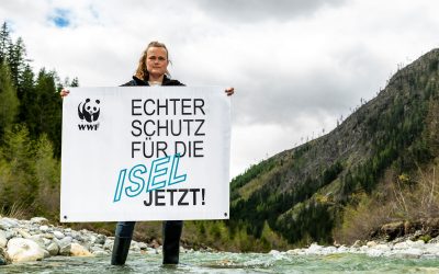 WWF warnt: Neue Gefahr für die Isel wegen Kraftwerksprojekt in Schutzgebiet