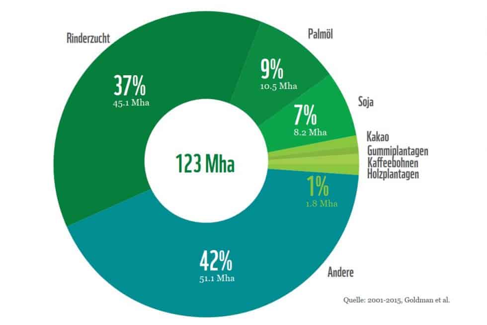 WWF Praxisleitfaden für Finanzinstitute - WWF Österreich
