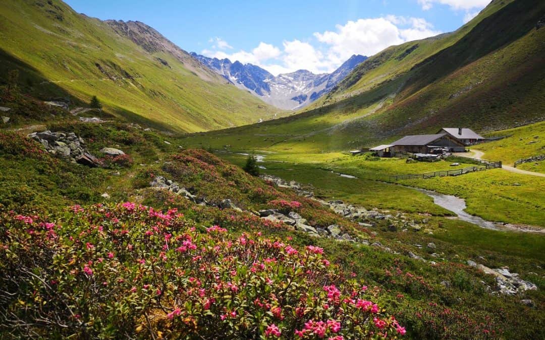 WWF: Fachleute zeigen Alternativen zu Kaunertal-Ausbau