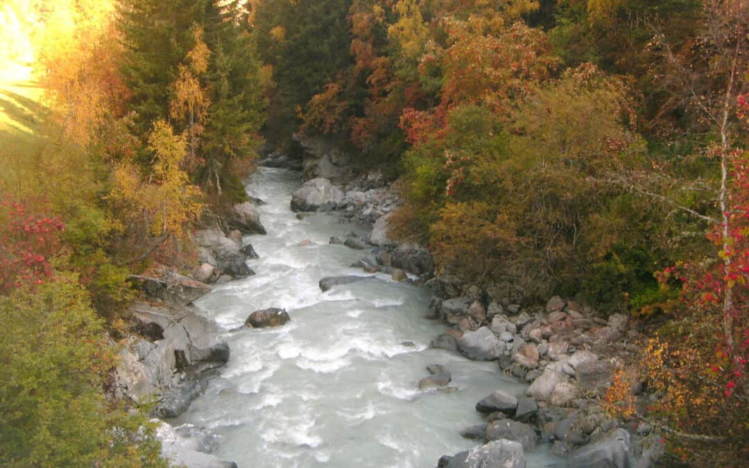 Nationalfeiertag: WWF fordert Unterschutzstellung der Tiroler Flussheiligtümer