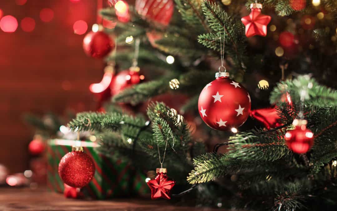 Nachhaltige Geschenkideen