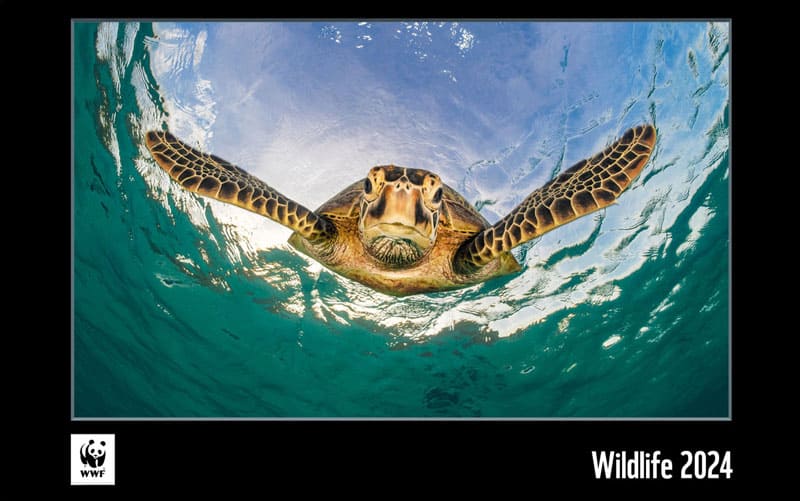 WWF Wildlife Kalender 2024 Cover