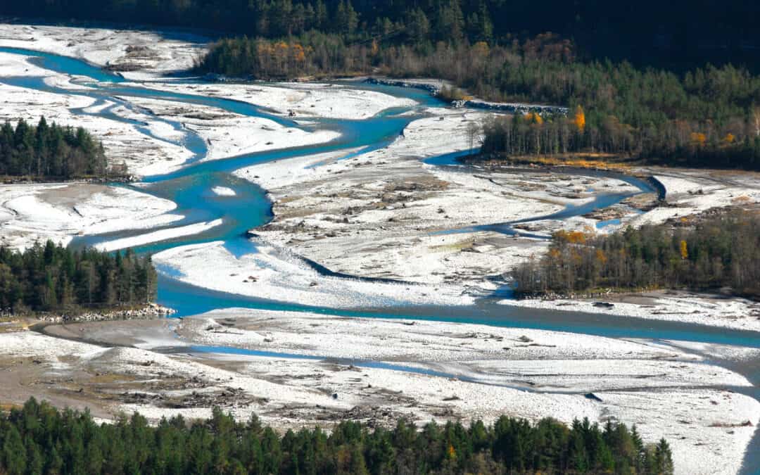 Natürliche Schutzmaßnahmen: WWF, Österreichische Bundesforste und viadonau stellen gemeinsame Projekte vor