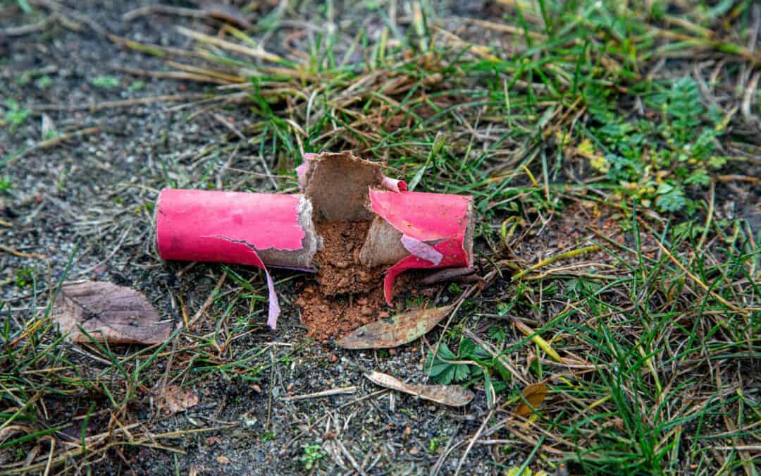 WWF fordert “Silvester ohne Böller”