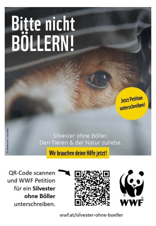 Flyer Silvester ohne Böller - Hund