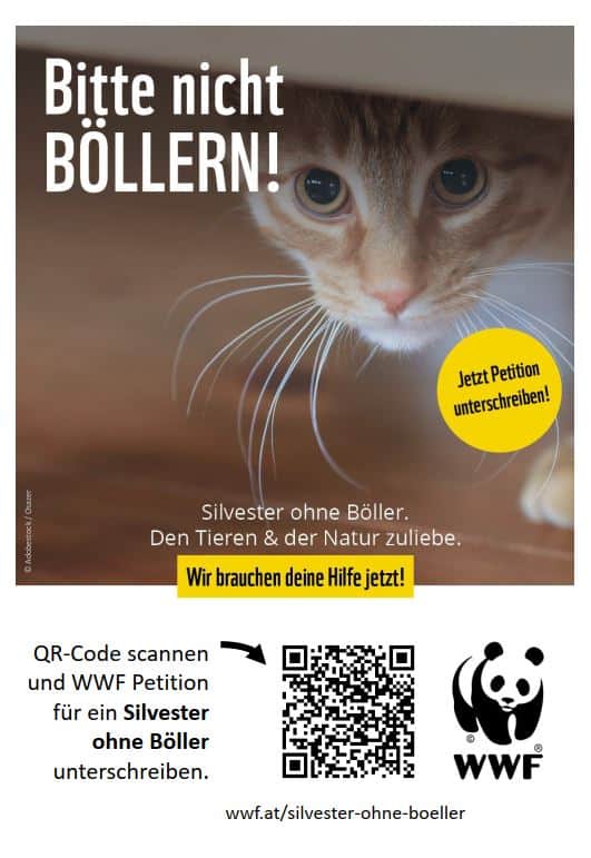 Flyer Silvester ohne Böller - Katze