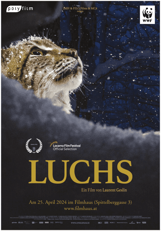 Luchs Plakat - Film