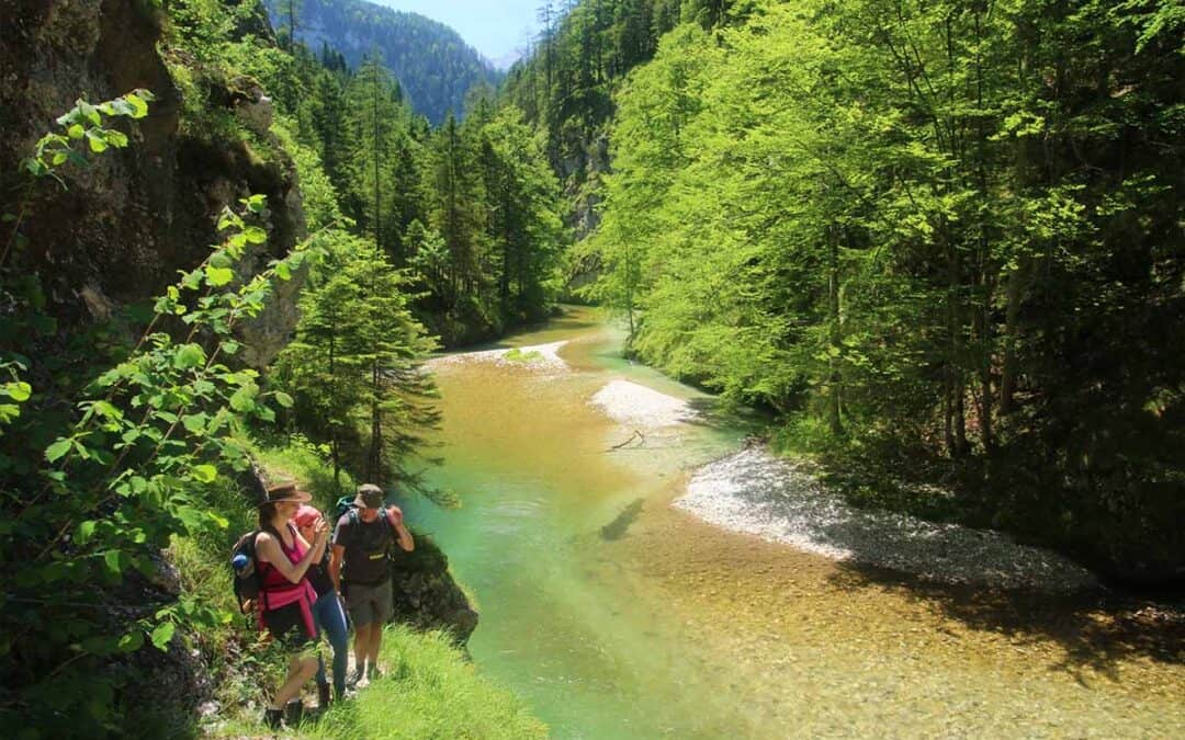 29.05. – 31.05.2025 Exkursion: Wildnis im Salzatal