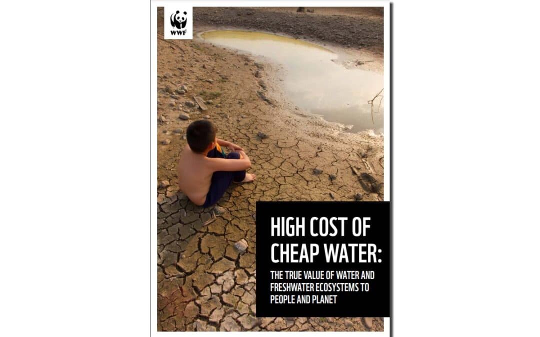 Geschützt: Wirtschaftliche Perspektive auf die globale Süßwasserkrise in der WWF Studie “High Cost of Cheap Water“