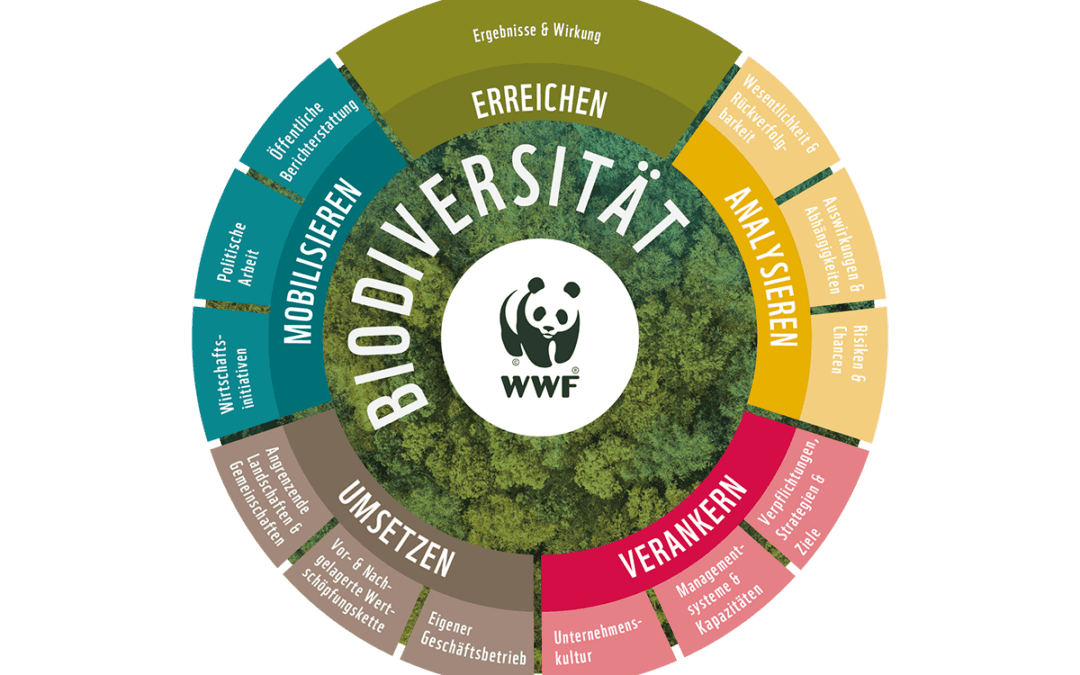Biodiversitätsmanagement für Unternehmen